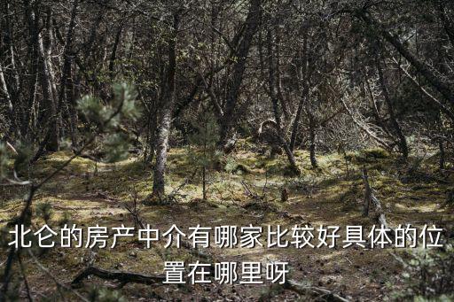 北侖的房產中介有哪家比較好具體的位置在哪里呀