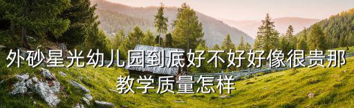 星光幼兒園，南陽人民路的星光幼兒園教學好嗎