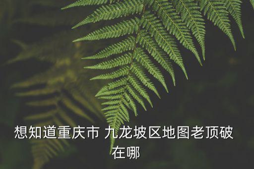 九龍坡地圖，大公館屬于重慶哪個區