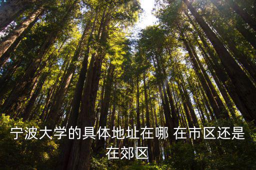 寧波大學(xué)的具體地址在哪 在市區(qū)還是在郊區(qū)