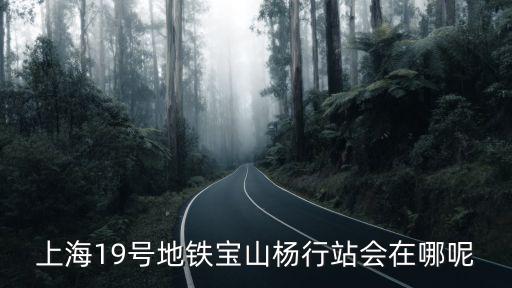 上海19號地鐵寶山楊行站會在哪呢