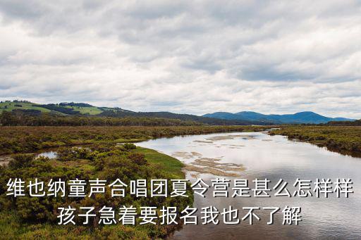 維也納童聲合唱團夏令營是甚么怎樣樣孩子急著要報名我也不了解