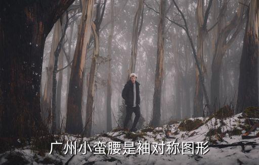 廣州小蠻腰圖片，廣州小蠻腰是袖對稱圖形