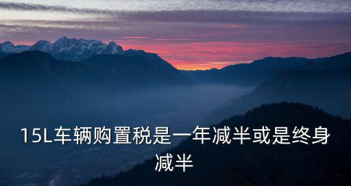 15L車輛購置稅是一年減半或是終身減半