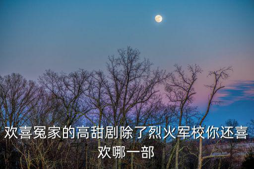 歡喜冤家的高甜劇除了烈火軍校你還喜歡哪一部