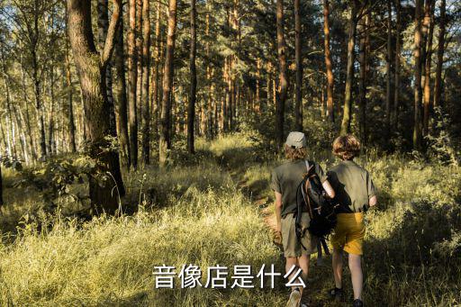 音像店是什么