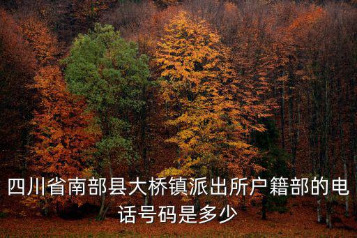 四川省南部縣大橋鎮(zhèn)派出所戶籍部的電話號碼是多少
