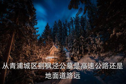 從青浦城區到楓涇公墓是高速公路還是地面道路遠