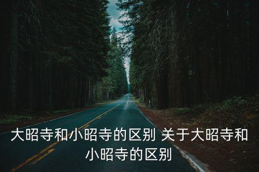 大昭寺和小昭寺的區別 關于大昭寺和小昭寺的區別