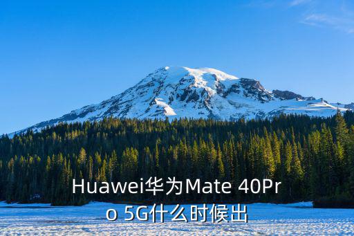 Huawei華為Mate 40Pro 5G什么時候出