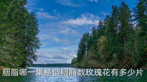 胭脂哪一集是藍胭脂數(shù)玫瑰花有多少片