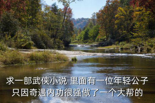 求一部武俠小說 里面有一位年輕公子只因奇遇內功很強做了一個大幫的