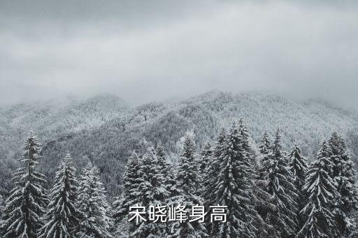 宋曉峰身高