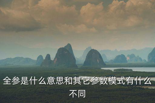 全參，全參是什么意思和其它參數模式有什么不同