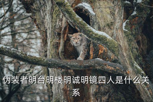 明樓明誠，明樓愛明臺還是明誠