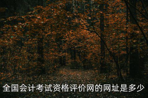 全國會計考試資格評價網的網址是多少