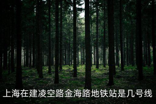 上海在建凌空路金海路地鐵站是幾號(hào)線