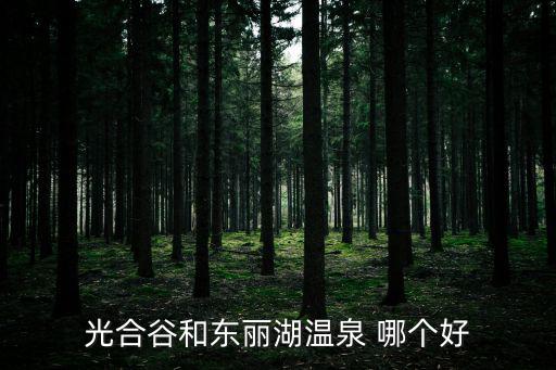 光合谷和東麗湖溫泉 哪個好