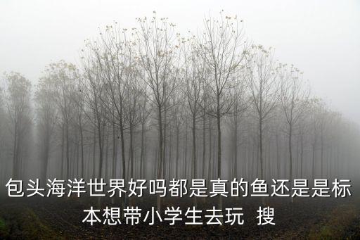 包頭海洋世界好嗎都是真的魚還是是標本想帶小學生去玩  搜