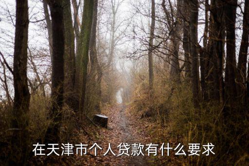 天津貸款，天津貸款公司天津個(gè)人貸款天津哪里可以貸款