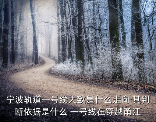 寧波軌道一號線大致是什么走向 其判斷依據是什么 一號線在穿越甬江