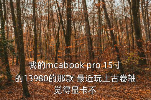 我的mcabook pro 15寸的13980的那款 最近玩上古卷軸覺得顯卡不