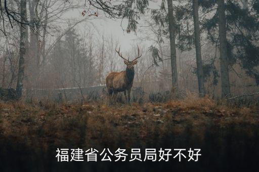 福建省公務員局好不好