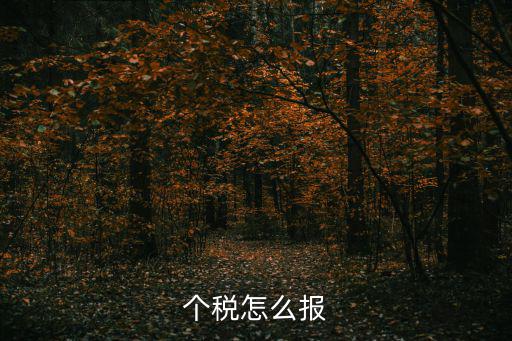 個稅怎么報