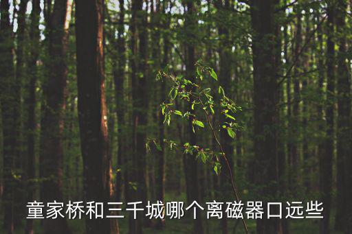 童家橋和三千城哪個離磁器口遠些