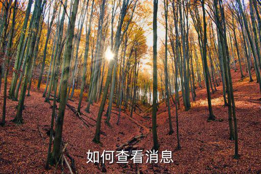 信息查詢，怎樣查詢信息