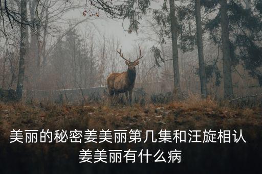 美麗的秘密姜美麗第幾集和汪旋相認(rèn) 姜美麗有什么病