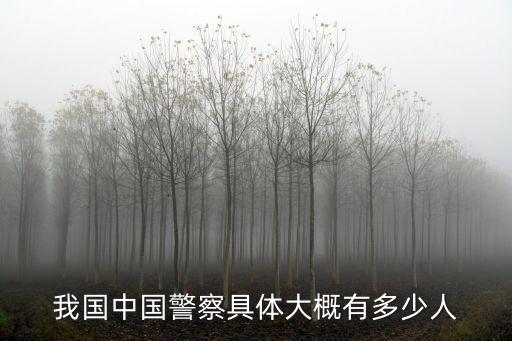 我國中國警察具體大概有多少人
