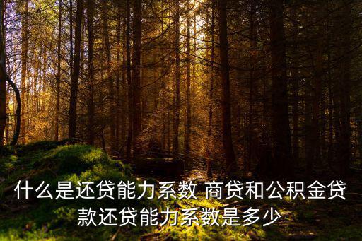 什么是還貸能力系數 商貸和公積金貸款還貸能力系數是多少