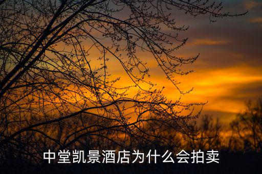 中堂凱景酒店為什么會拍賣