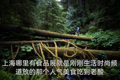 上海哪里有食品展就是剛剛生活時尚頻道放的那個人氣美食吃到老酸