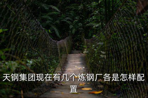 天鋼集團(tuán)現(xiàn)在有幾個(gè)煉鋼廠各是怎樣配置