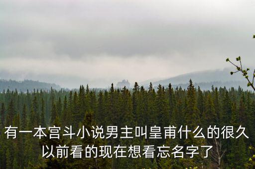 有一本宮斗小說男主叫皇甫什么的很久以前看的現(xiàn)在想看忘名字了
