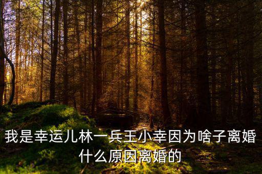 我是幸運兒林一兵王小幸因為啥子離婚什么原因離婚的