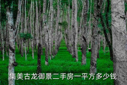 集美古龍御景二手房一平方多少錢