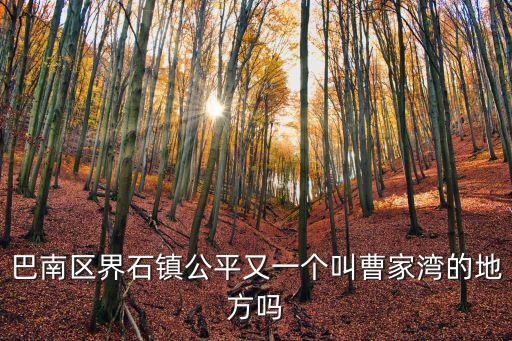 巴南區(qū)界石鎮(zhèn)公平又一個叫曹家灣的地方嗎