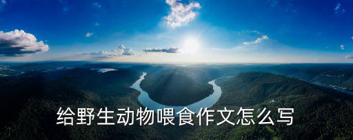 給野生動物喂食作文怎么寫