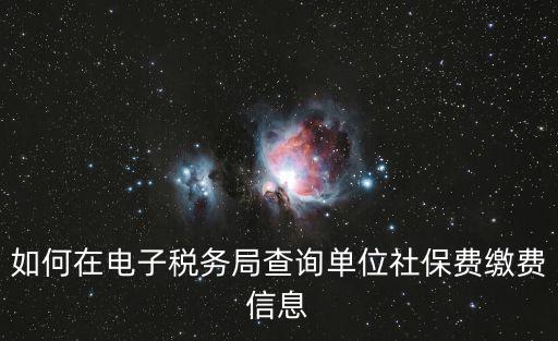 上海電子稅局，上海市電子稅務局辦理網上業務時間