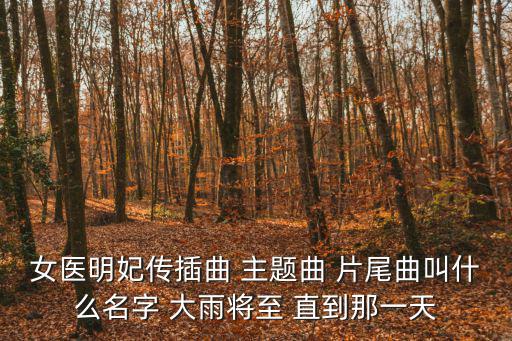 女醫明妃傳插曲 主題曲 片尾曲叫什么名字 大雨將至 直到那一天