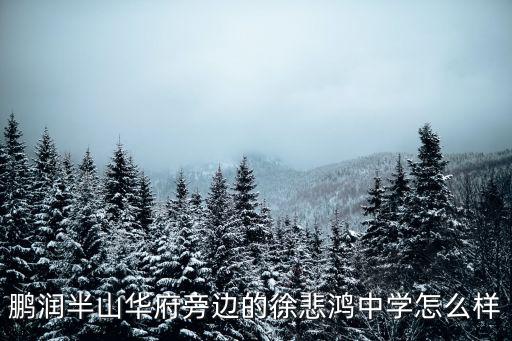 徐悲鴻中學，江北徐悲鴻中學和18中哪個初中好些急