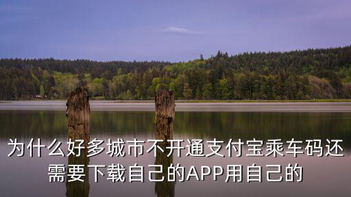 為什么好多城市不開通支付寶乘車碼還需要下載自己的APP用自己的