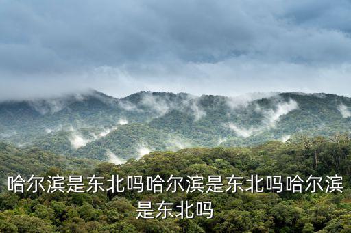 哈爾濱是東北嗎，哈爾濱屬于北方嗎