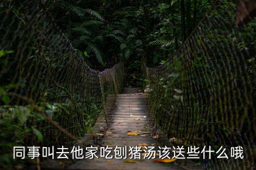 同事叫去他家吃刨豬湯該送些什么哦
