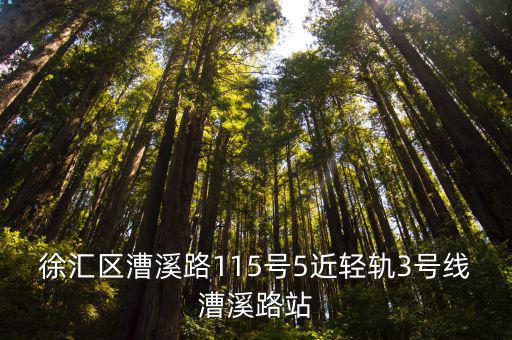 徐匯區漕溪路115號5近輕軌3號線漕溪路站