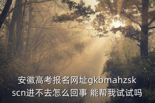安徽高考報(bào)名網(wǎng)址gkbmahzskscn進(jìn)不去怎么回事 能幫我試試嗎