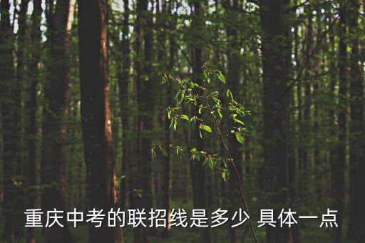 重慶中考的聯招線是多少 具體一點